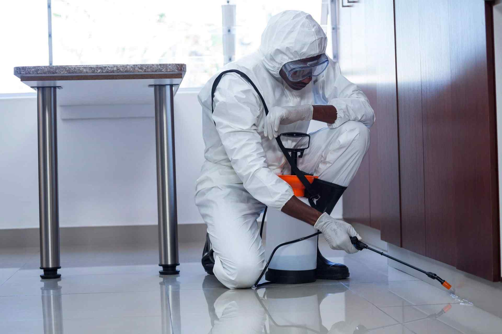 fumigation-and-Pest-control-services